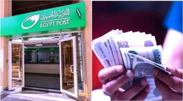 منصة رقمية متكاملة للاستثمار وتطبيق «فلوسي».. البريد المصري يدخل سوق الخدمات المالية الإلكترونية